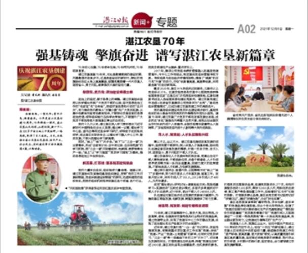 图片:日报版面