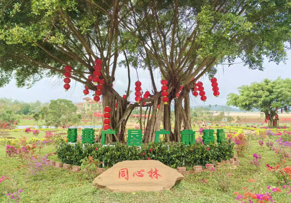 图片:1-4