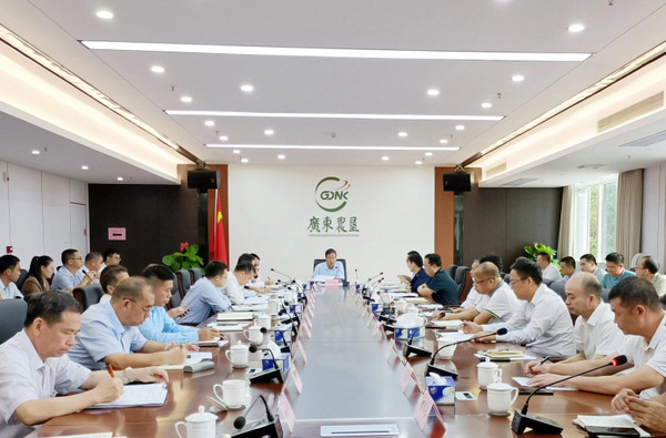 图片:1-召开湛江垦区被占地收回攻坚行动座谈汇报会