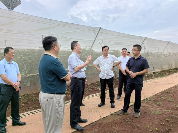 图片:1-4 调研广前公司百香果和木瓜种植基地