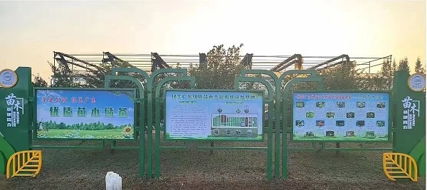 图片:1-1