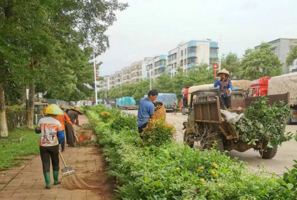 图片:1-2 主干道路清理