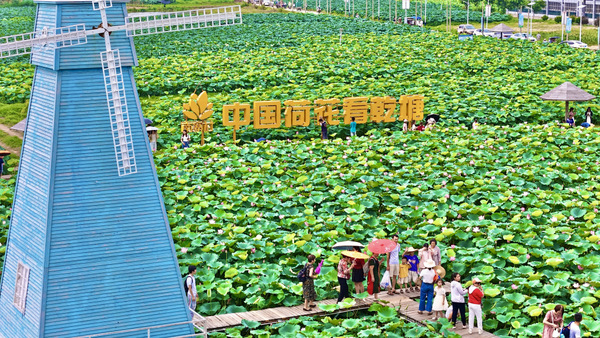 图片:1-乾塘荷花基地