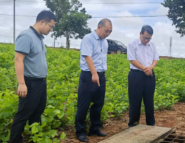图片:1-2 吴卓平到友好农场督导检查