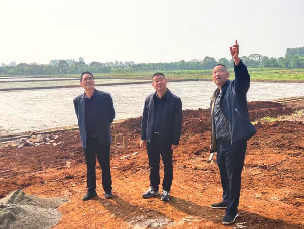 图片:4 欧阳帅到湖光农场督?