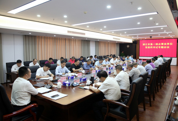 图片:会场1