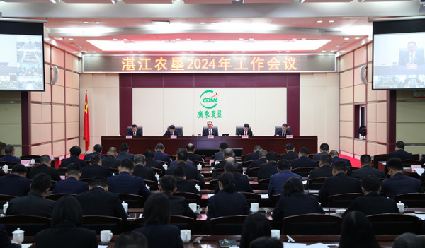 图片:会场