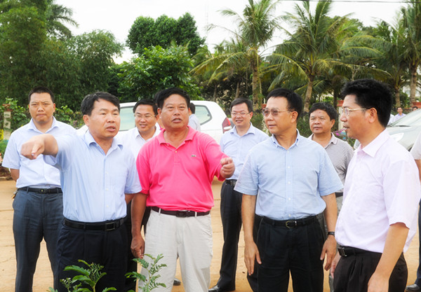省农垦到湛江垦区