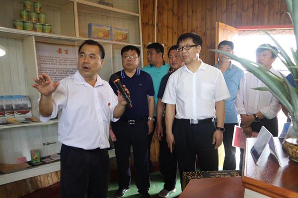 图片:周康平介绍“红土金菠”主题馆的情况