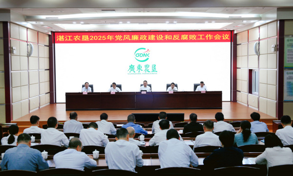 图片:会场