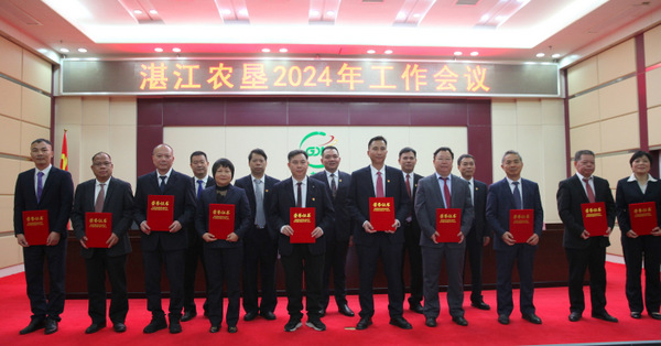 图片:表彰优秀工作者