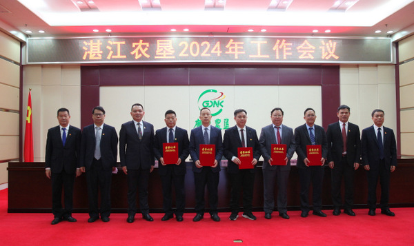 图片:表彰先进集体