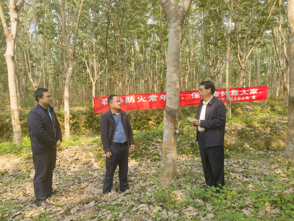 图片:2 吴卓平到东升农场督?