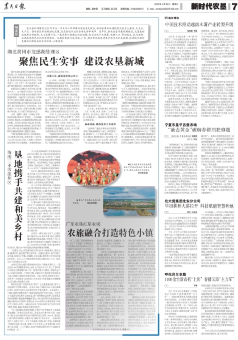 图片:版面截图