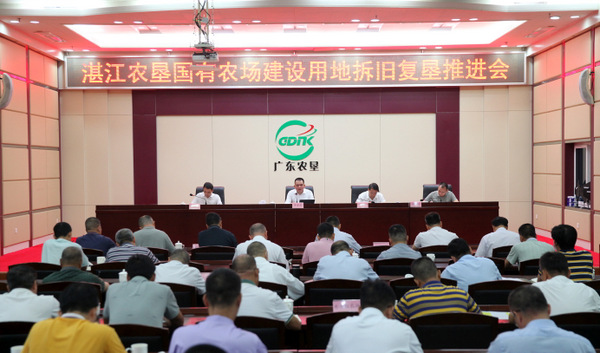 图片:会场