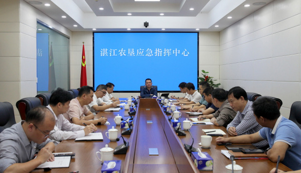图片:会场